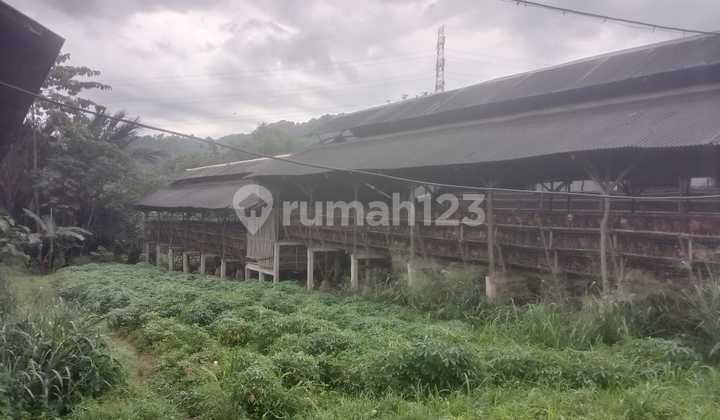 Dijual Tanah Bonus Peternakan, Truk, dan Langganan Usaha Masih Jalan