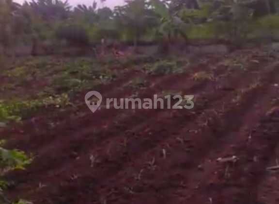 Dijual Tanah Dipinggir Jalan Raya Pasar Kemis