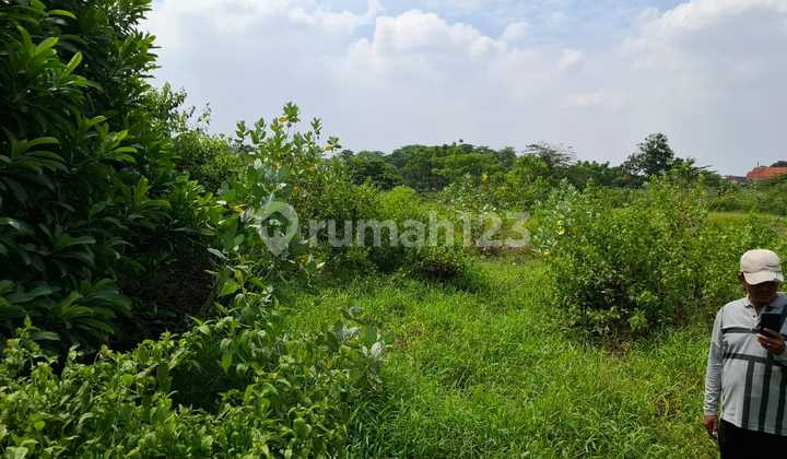 Dijual Tanah Seluas 2 Hektar di Cikupa Pasir Jaya