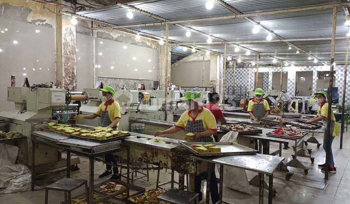 Bakery Factory for Sale and Still Operating in BALI