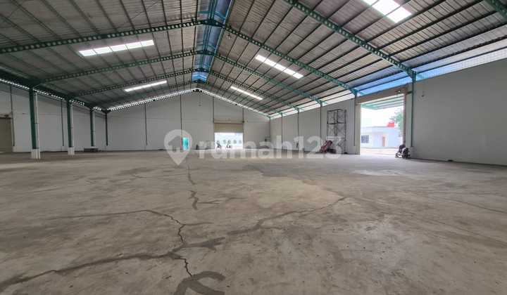 For Rent New Warehouse in Gunung Sindur For Rent New Warehouse in Gunung Sindur
