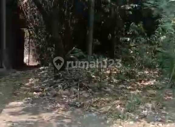 Dijual Tanah di Gandoang cileungsi tanah bentuk kantong Dijual Tanah di Gandoang cileungsi tanah bentuk kantong