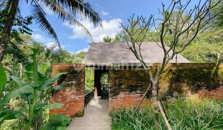 Villa Ubud View Jungle & River Alami Villa Ubud View Jungle & River Alami