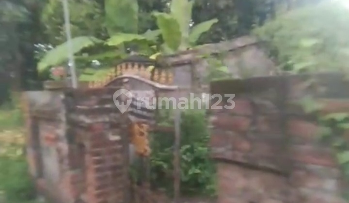 Land 1.5 Are Panji Buleleng Behind Samsat Office