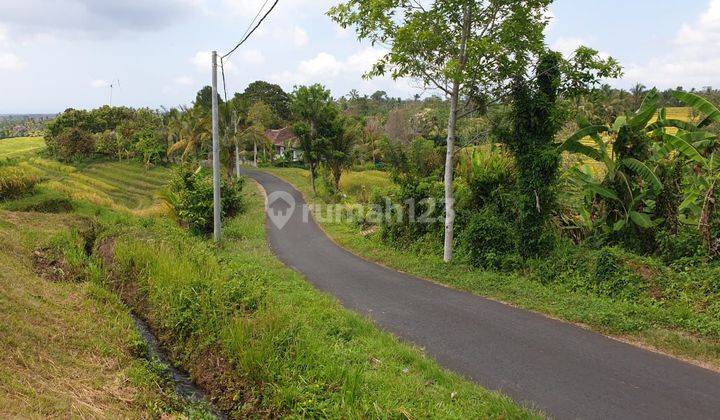 Tanah View Sangat Bagus Selemadeg Tabanan 2