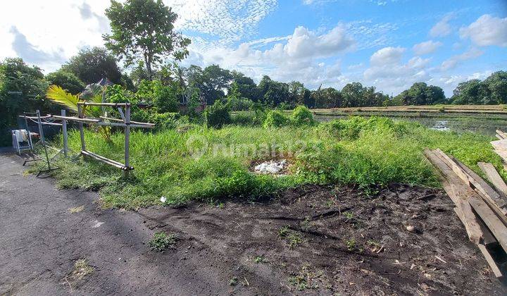 Tanah Kedungu View Sawah  2