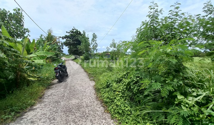 Tanah 6.3 Are Dekat Pantai Kedungu
