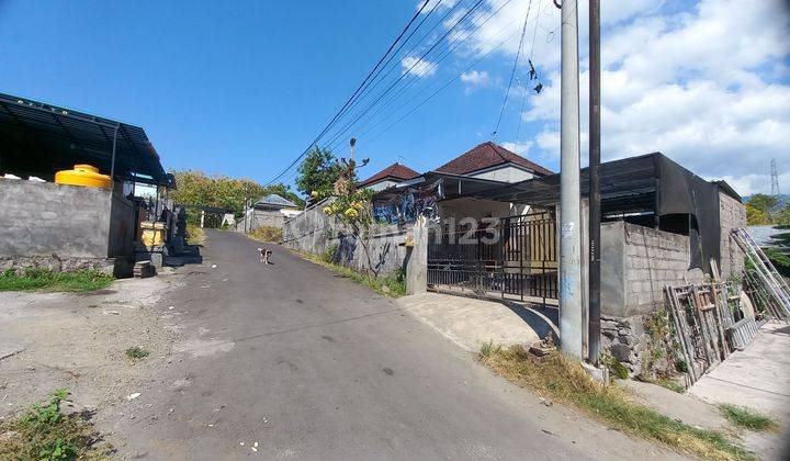 Tanah Dekat Lovina Singaraja 2