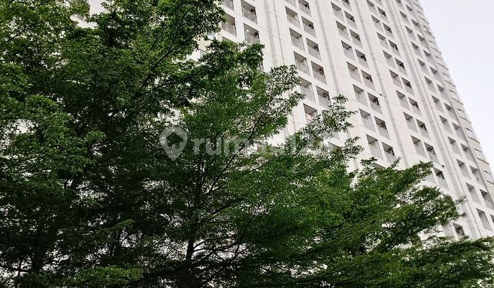 Murah!! Apartement Pinewood Jatinangor Akseskampus Itb Unpad Murah!! Apartement Pinewood Jatinangor Akseskampus Itb Unpad