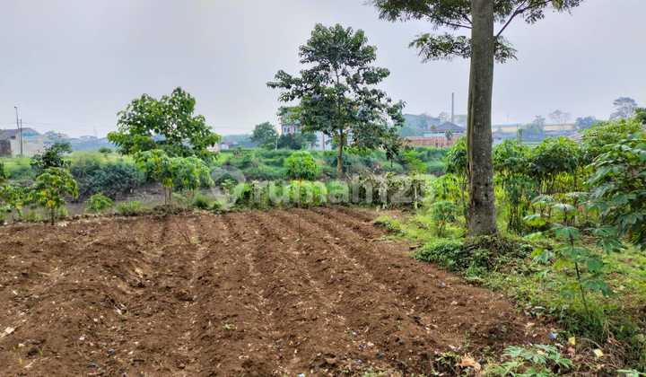 Tanah Cocok untuk Gudang, Industri di Ciodeng Bojongmalaka Baleendah