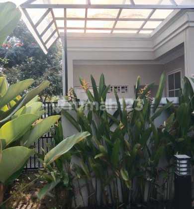 Disewakan Rumah Nyaman Siap Huni di Podomoro Park Bandung 2