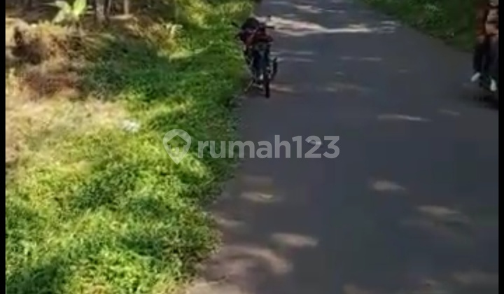 Di jual tanah cocok untuk berkebun di Cileles Lebak Banten 1