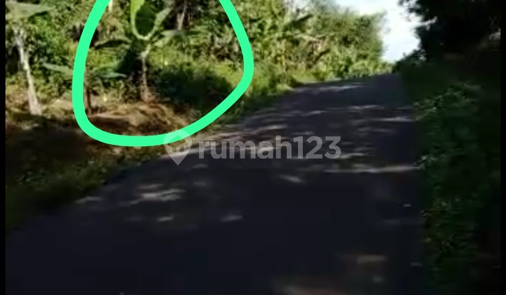 Di jual tanah cocok untuk berkebun di Cileles Lebak Banten 4