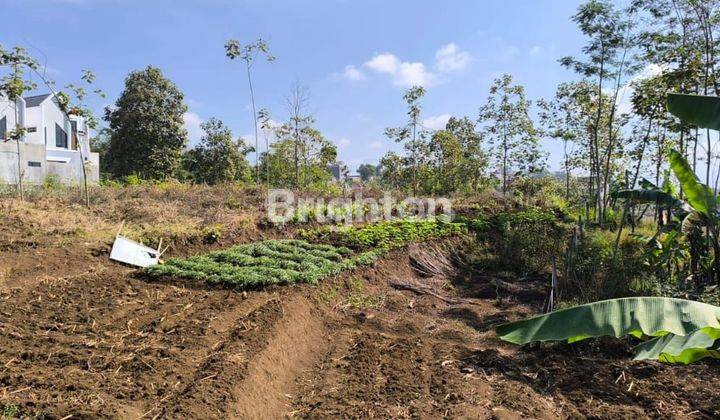 Tanah di Oro Oro Ombo Kota Batu 1