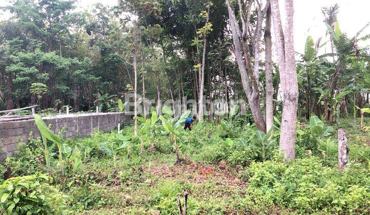 tanah kavling  lokasi Dieng Atas Kalisongo Dau Malang 2