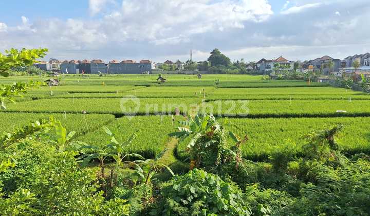 Rumah Modern View Sawah Komplek One Gate System Eksklusif Di Kesiman 2