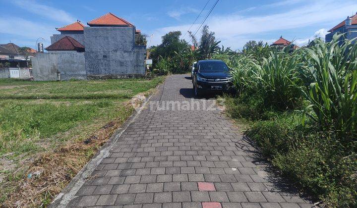 Rumah Sewa Dekat By Pass Kesiman Dan Sanur Dekat View Sawah Akses Buntu Nyaman 2