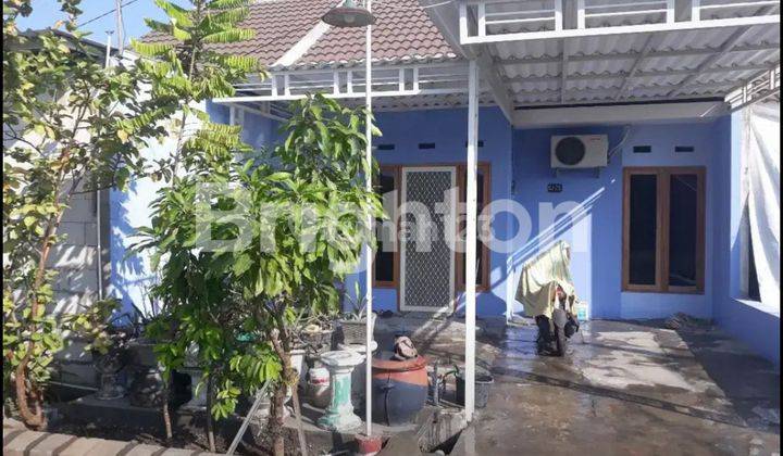 rumah 1 lantai terawat siap huni SAPPHIRE RESIDENCE 1