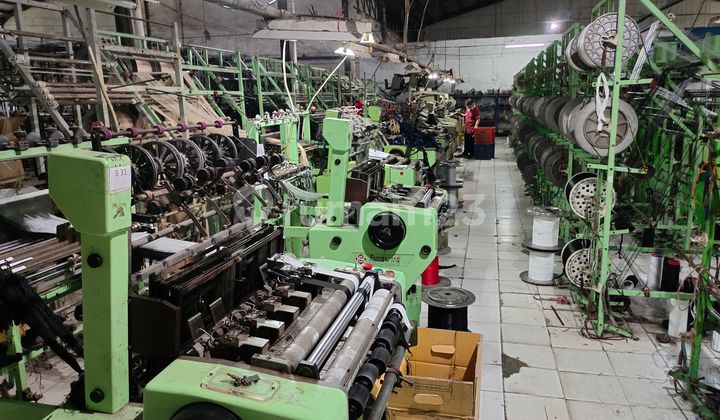 Elastic Webbing Band Factory in Running Cikupa Elastic Webbing Band Factory in Running Cikupa