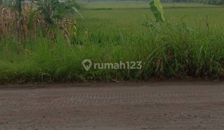 Tanah Lahan Kedunganyar Kedung anyar wringin Anom Gresik 1