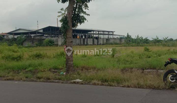 Jual Tanah Raya Cermeh 13000 m2 Lahan Kavling di Cerme, Gresik 2