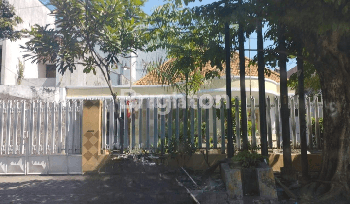 rumah, jl. Teuku umar   surabaya pusat 2