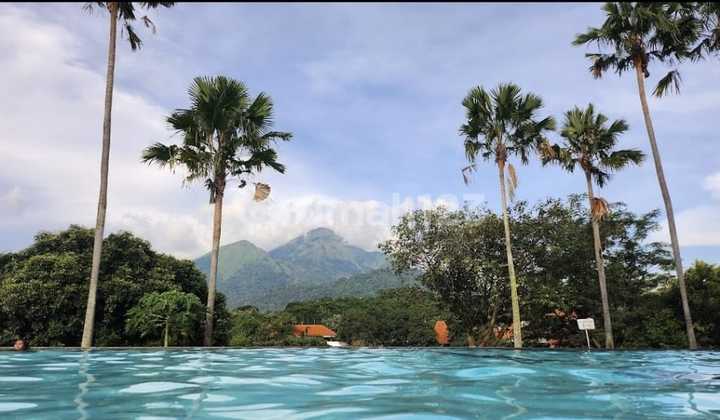 Hotel, Restaurant, Cafe , Tempat Wisata Di Trawas