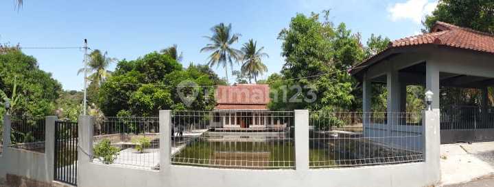 For Sale House + 1,700 M² Land in Kuningan - Attractive Price, Includes a Large Fish Pond For Sale House + 1,700 M² Land in Kuningan - Attractive Price, Includes a Large Fish Pond