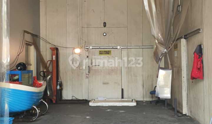 Dijual Gudang Strategis di Elang Laut PIK – Freezer & Chiller Room, 18M Nego!