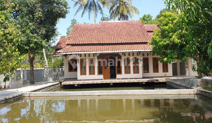 For Sale House + 1,700 M² Land in Kuningan - Attractive Price, Includes a Large Fish Pond For Sale House + 1,700 M² Land in Kuningan - Attractive Price, Includes a Large Fish Pond