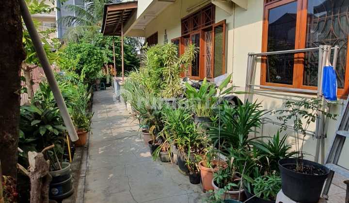 Hook, SHM, di Kelapa Gading, 2