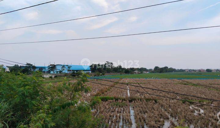 Dijual Tanah Sawah di Pinggir Jalan, Cocok Untuk Gudang 1