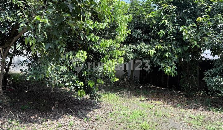 Quick Sale Land Strategic Location Babadan Ungaran 1