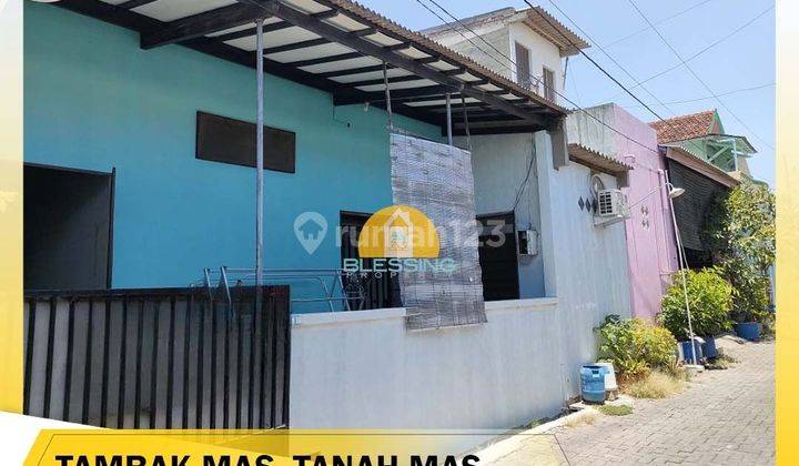 Rumah murah di daerah tanah mas 1