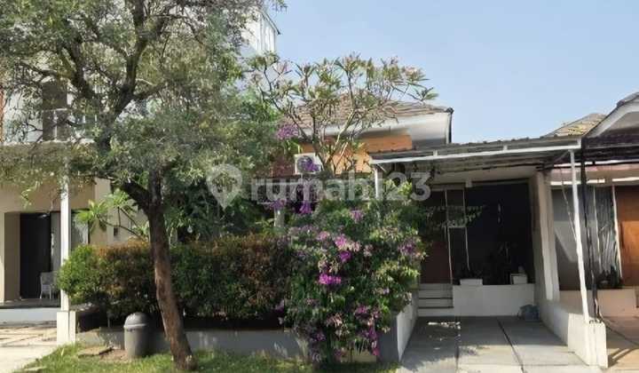 Dijual Rumah Semi Furnished Murah Dan Bagus Ivy Park Bsb 1