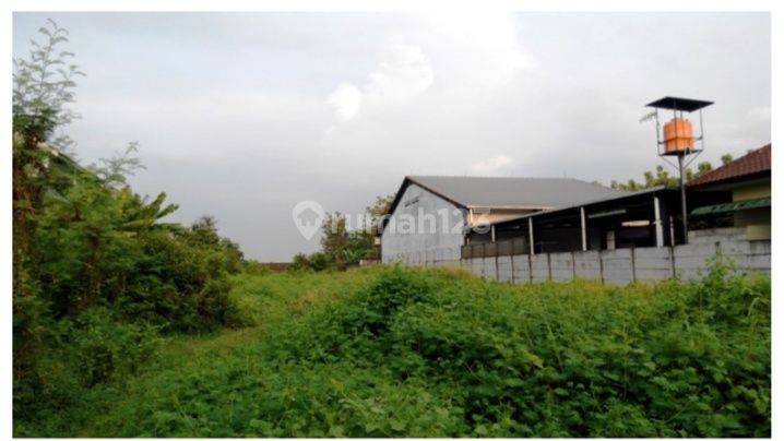 Jual Tanah Lokasi Sangat Strategis Di Weleri 1