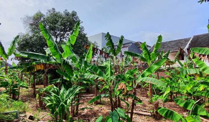 Dijual Kavling Tanah Murah Strategis Di Bulusan Tembalang  1