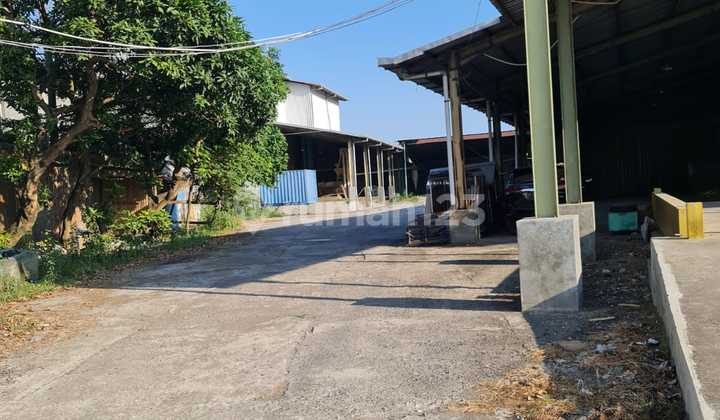 Disewakan Gudang Bagus Siap Huni Di Jalan Godong Purwodadi 2