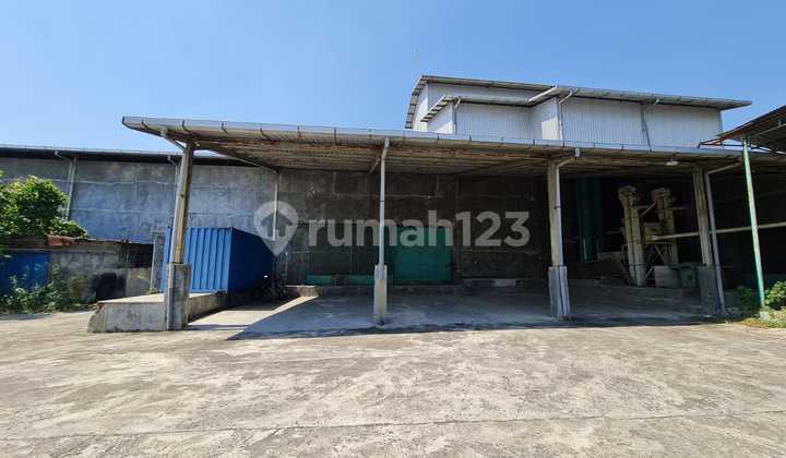 Disewakan Gudang Bagus Siap Huni Di Jalan Godong Purwodadi 1