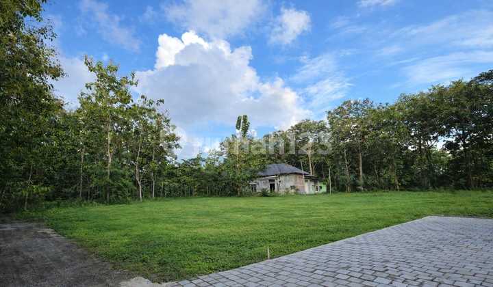 Cheap Sentolo Land Plot