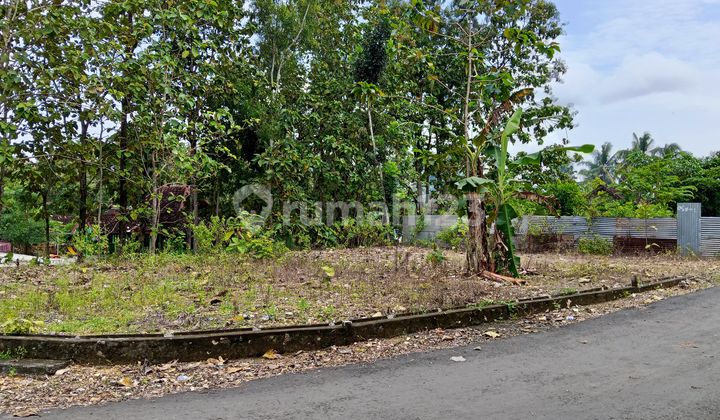 Tanah Kavling Ukuran Kecil Lokasi Di Duwet Wonosari Tanah Kavling Ukuran Kecil Lokasi Di Duwet Wonosari