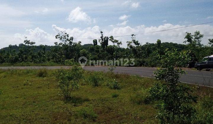 TANAH DEKAT PANTAI INDRAYANTI  2