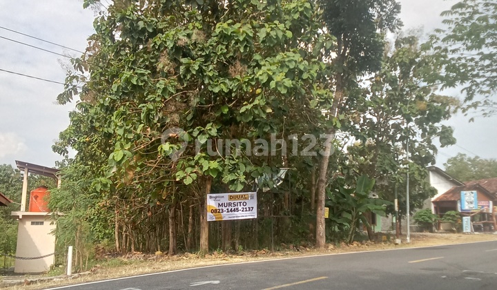 Tanah Pinggir Jalan Dekat Kota Wonosari Tanah Pinggir Jalan Dekat Kota Wonosari