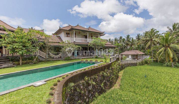 (G51) UBUD VILLA WITH PADDY VIEW 1