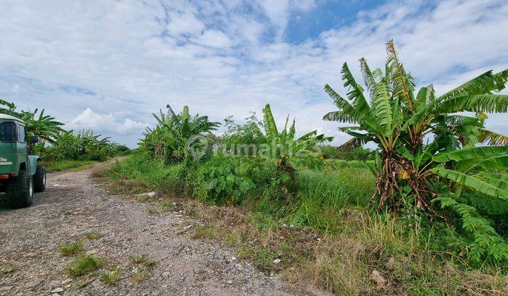 (D15) TANAH PANTAI SESEH 500 m KE PANTAI 2