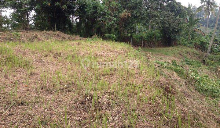 (F97) TANAH VIEW SUNGAI & HUTAN 2