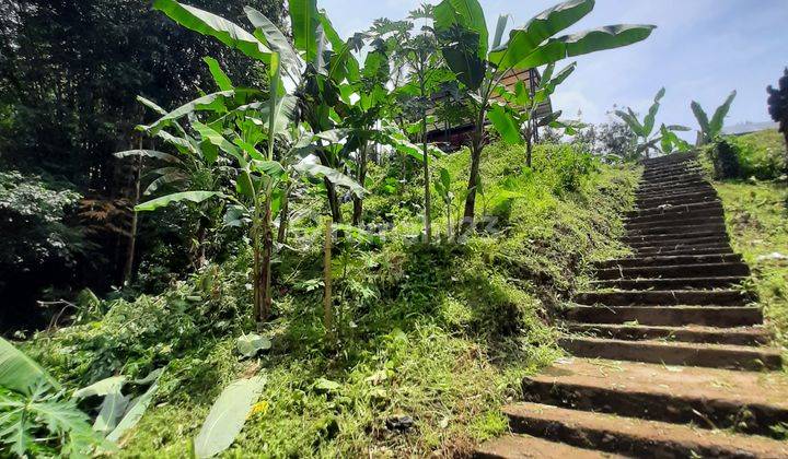 (Cy) TANAH LOS SUNGAI VIEW SAWAH DEKAT CENTRAL UBUD 1