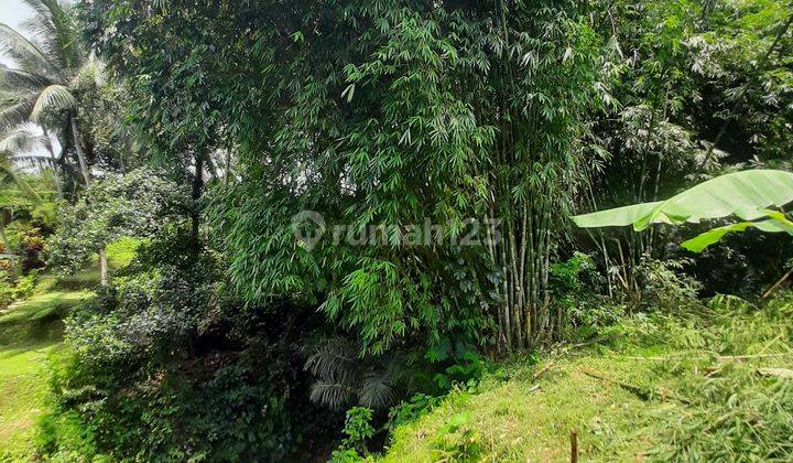 (Cy) TANAH LOS SUNGAI VIEW SAWAH DEKAT CENTRAL UBUD 2