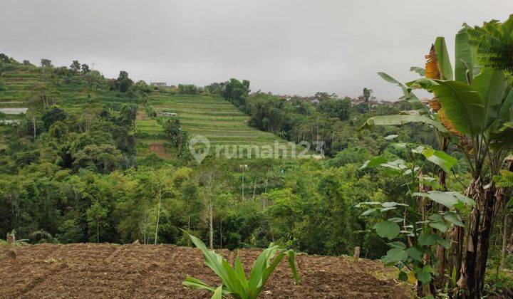 (G28)  TANAH BATURITI VIEW SUNGAI & SAWAH 1