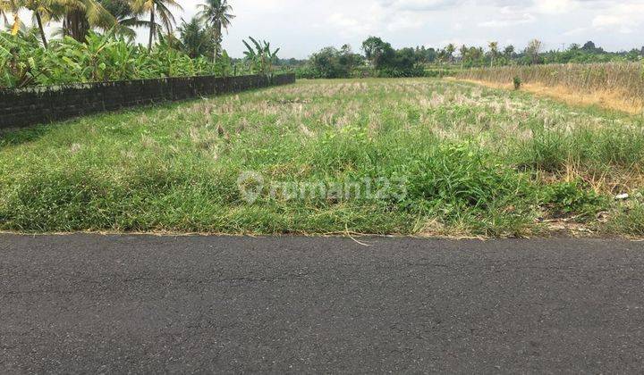 (G91) FREEHOLD LAND ONLY 4 MINUTES TO KELATING BEACH 1